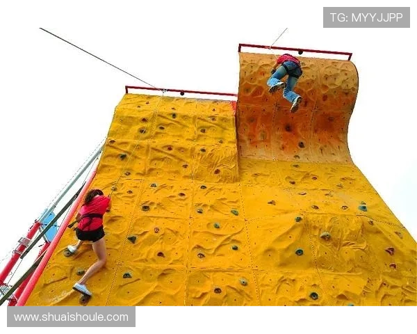 武汉攀岩队实力对比深度解析与未来发展趋势探讨