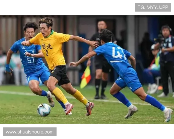 武汉足球队总决赛逆袭之旅背后的奋斗与荣耀揭秘