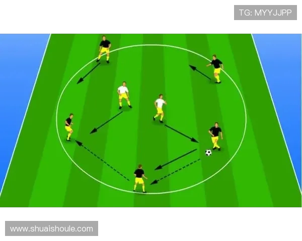 深圳足球队的控制革新带来的新机遇与挑战分析